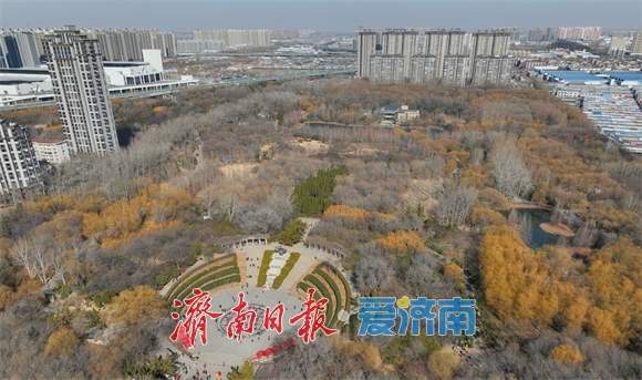 色彩斑斓！初春的济南森林公园生机勃勃