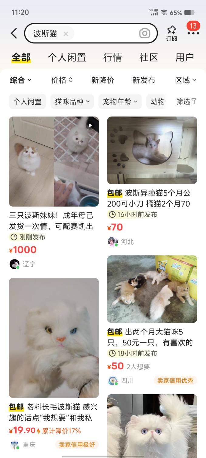 网上买宠物，注意这些“坑”