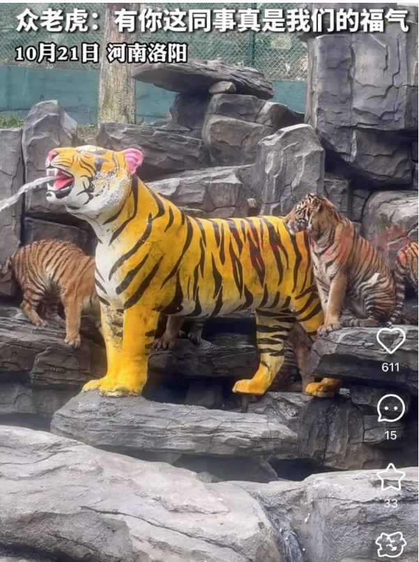 洛阳一动物园高薪招募“兽王驾驶员”:已收到两千多份应聘信息