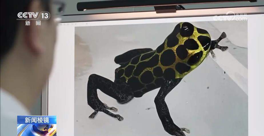 “个性伙伴”成“致命威胁” 严打“异宠”非法入境