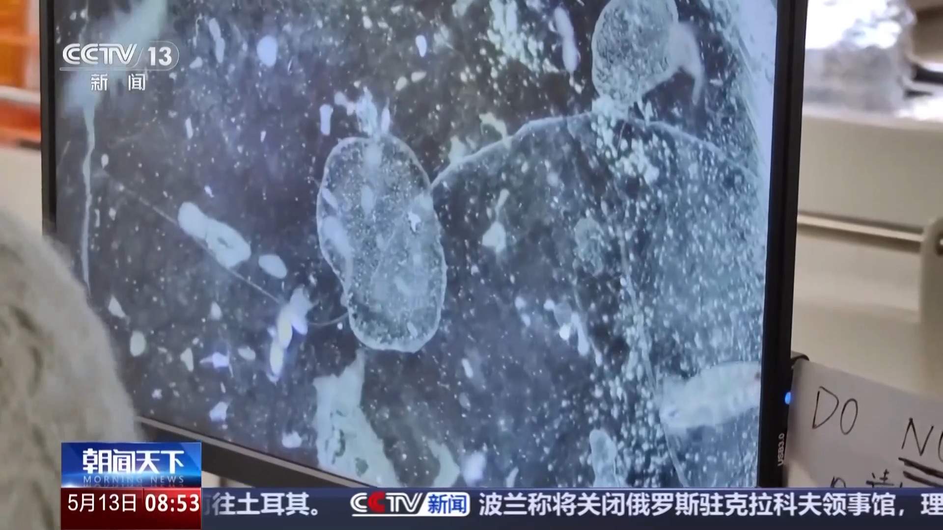 涉及海冰研究、海洋生物等 我国南极科考有了新发现