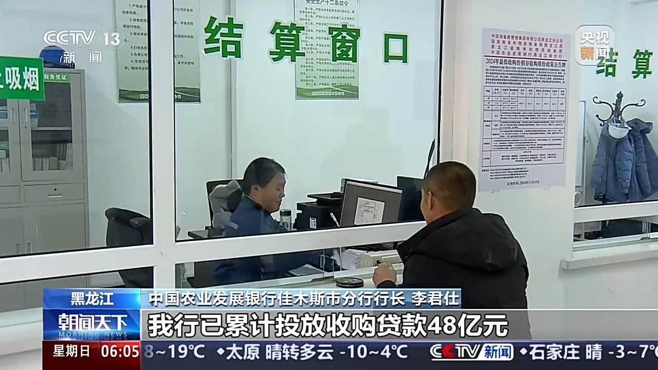 全国秋粮收购进入旺季 粮食加快“归仓”金融助力