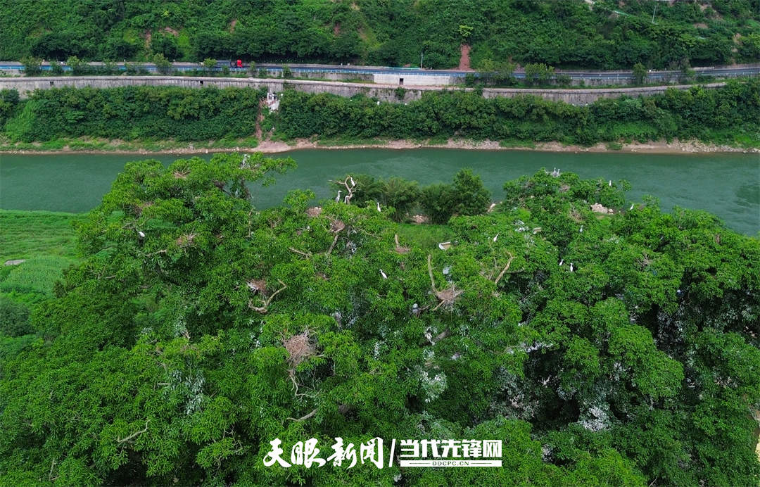 【长江十年行】赤水河渔民和他的三条船