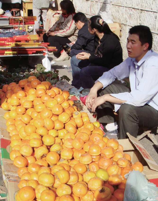 又至重阳节 来登古历山