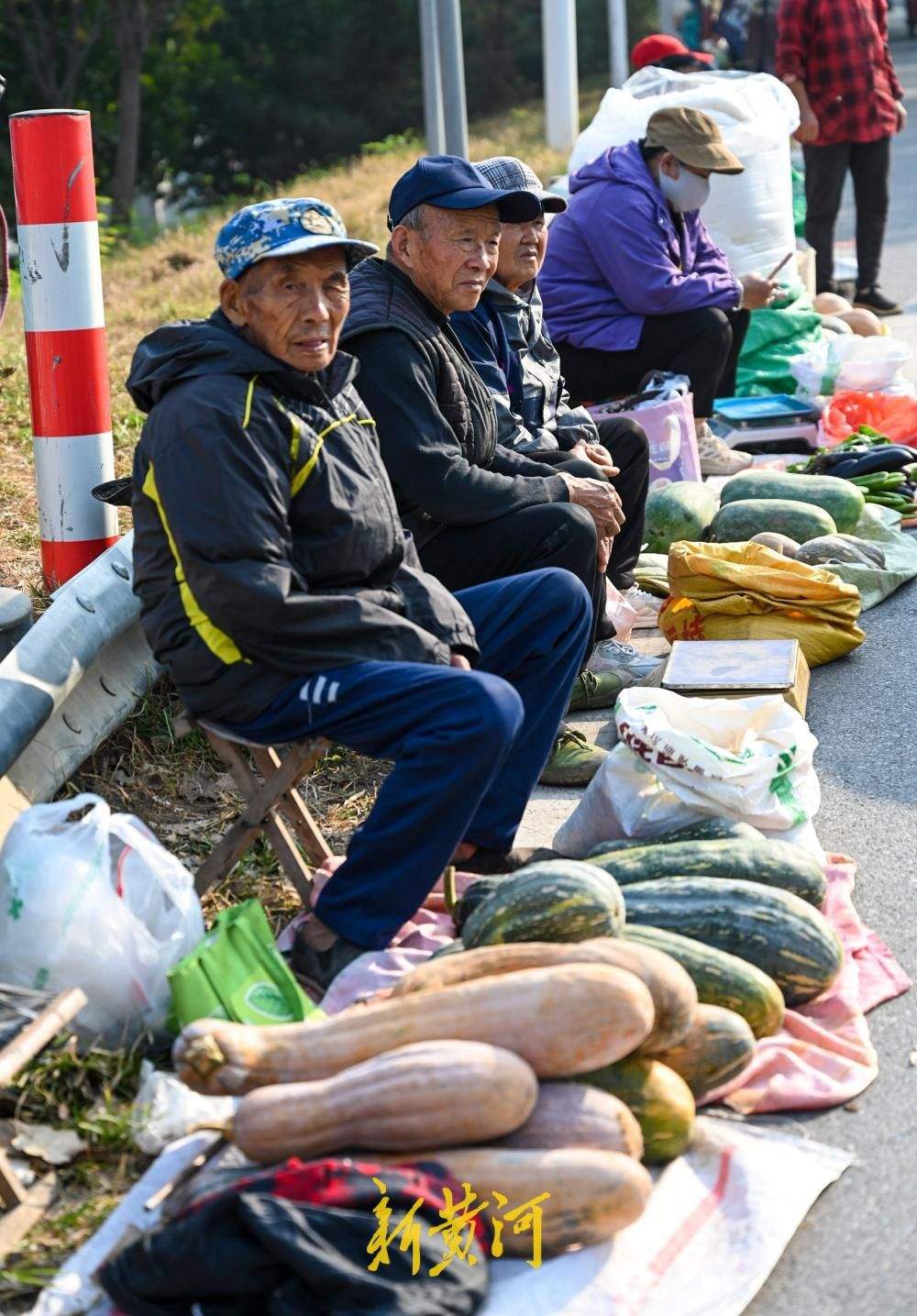 黄河北岸赶大集，济南鹊山大集盛满秋日丰收味