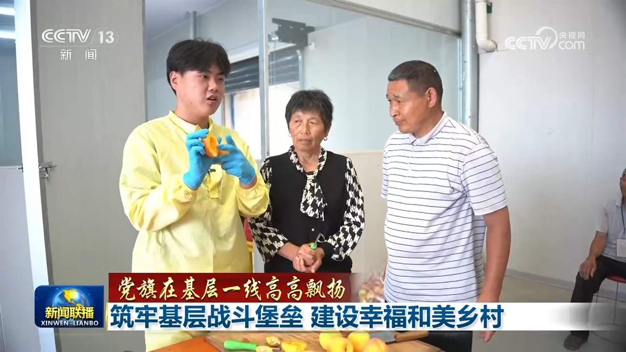 【党旗在基层一线高高飘扬】筑牢基层战斗堡垒 建设幸福和美乡村