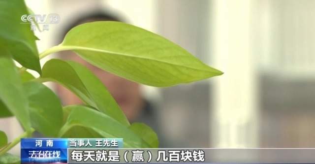 套路专坑游戏玩家 男子玩捕鱼小游戏输掉房子还负债