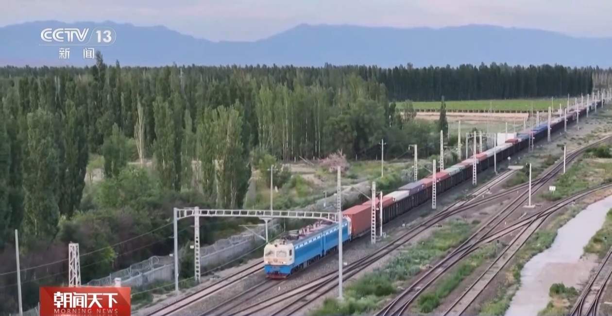 如何推进交通物流降本提质增效？交通运输部提出这些举措