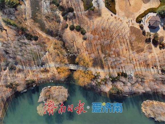 色彩斑斓！初春的济南森林公园生机勃勃