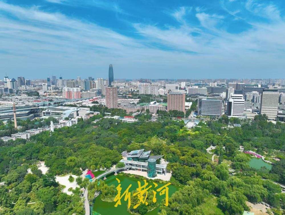 一年四季 泉在济南｜初秋泉城晴空万里，绿树成荫太美了
