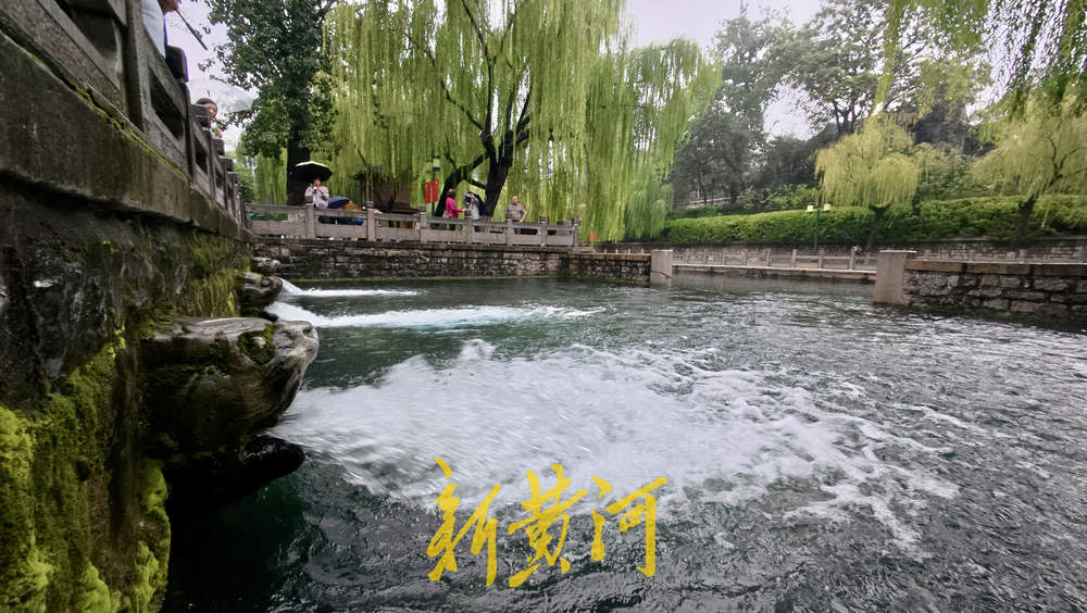 地下水位连涨，泉水漫出泉洞 ，现黑虎泉版“清泉石上流”