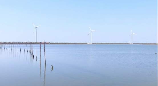 入选第九批国家级海洋牧场，山东这5个有何过人之处？