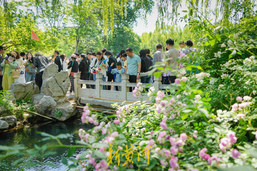 一年四季 泉在济南｜济南五龙潭公园风景如画 游客尽享假日时光