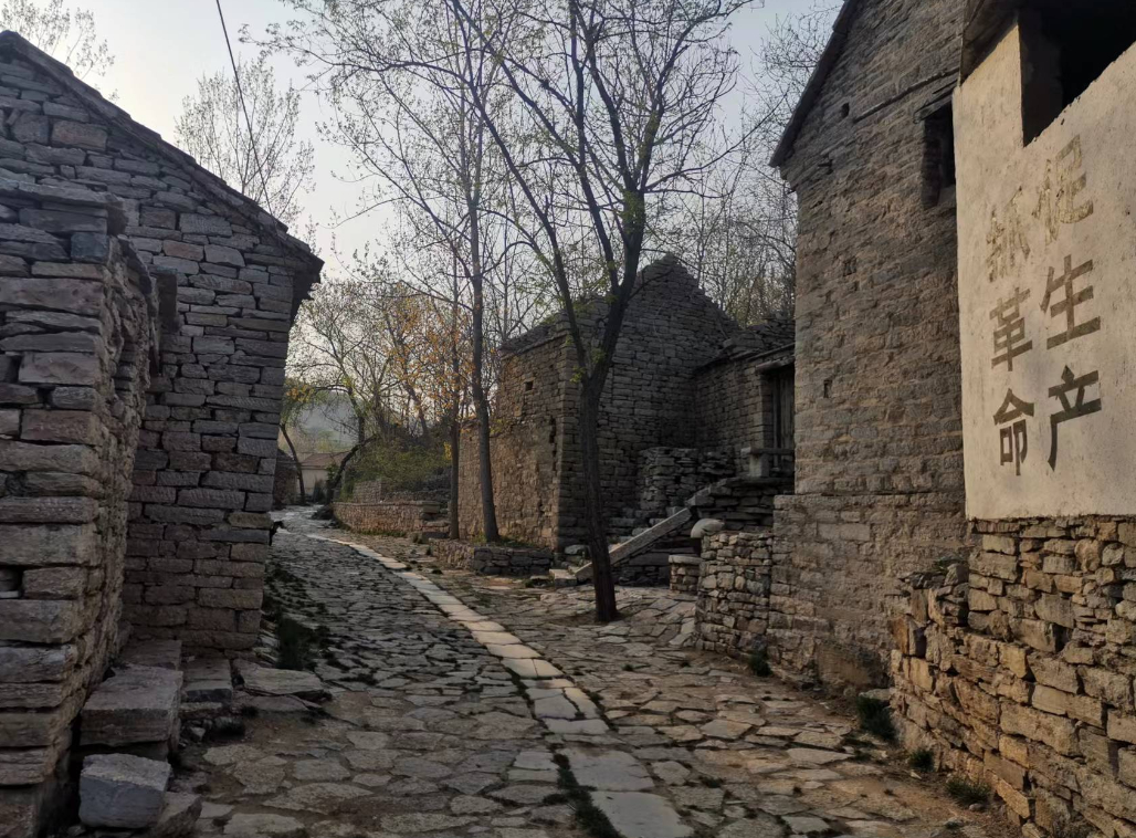 融媒·先锋|从“单打独斗”到“整体作战”,雪野有了新思路——乡村振兴用上“球队战术”