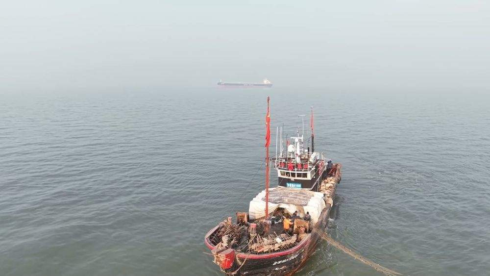 新华视点|2026开局暖人心:消费旺 服务优 基建稳