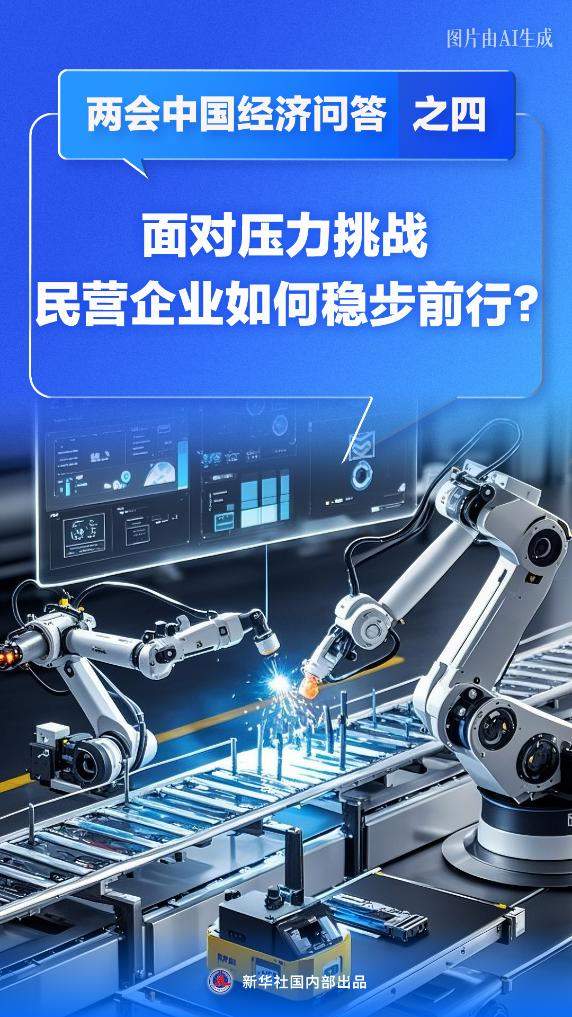 两会中国经济问答丨面对压力挑战，民营企业如何稳步前行？——两会中国经济问答之四