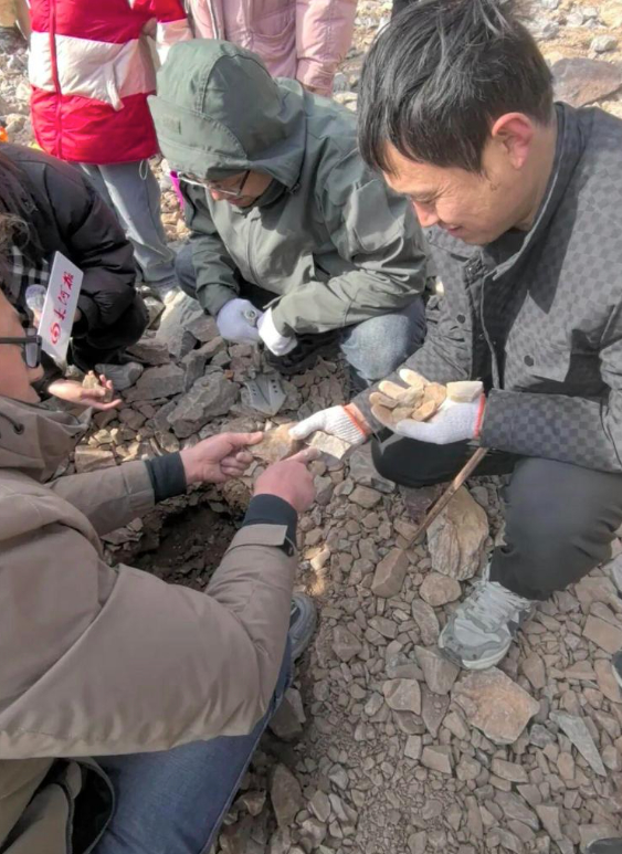 河南新密“玉石山”爆火！大批游客组团寻宝，已限流