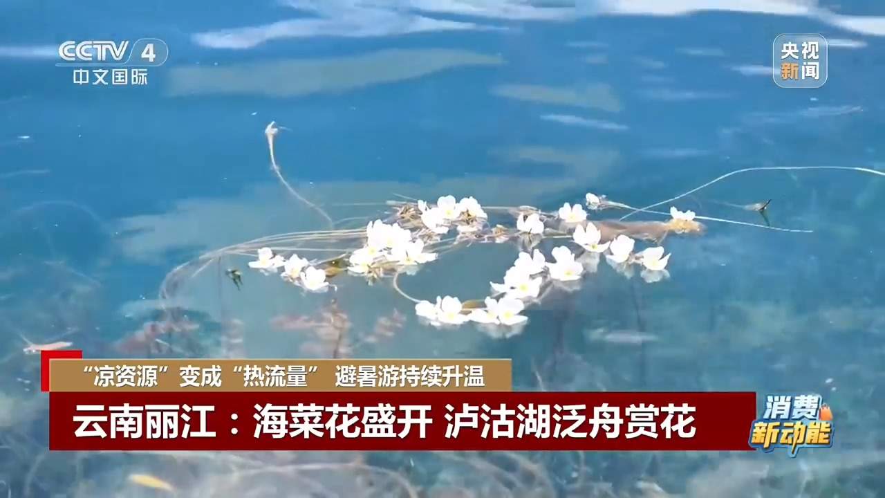 “凉资源”变成“热流量” 一起解锁避暑好去处