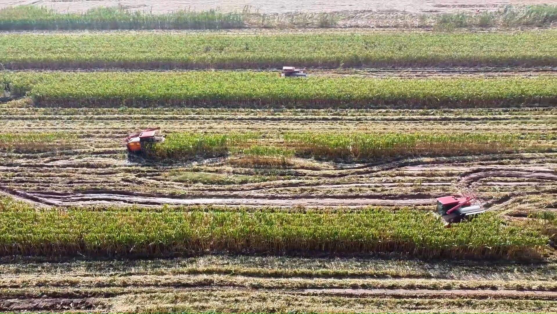 济南：争分夺秒降损失 24小时烘干作业不停歇