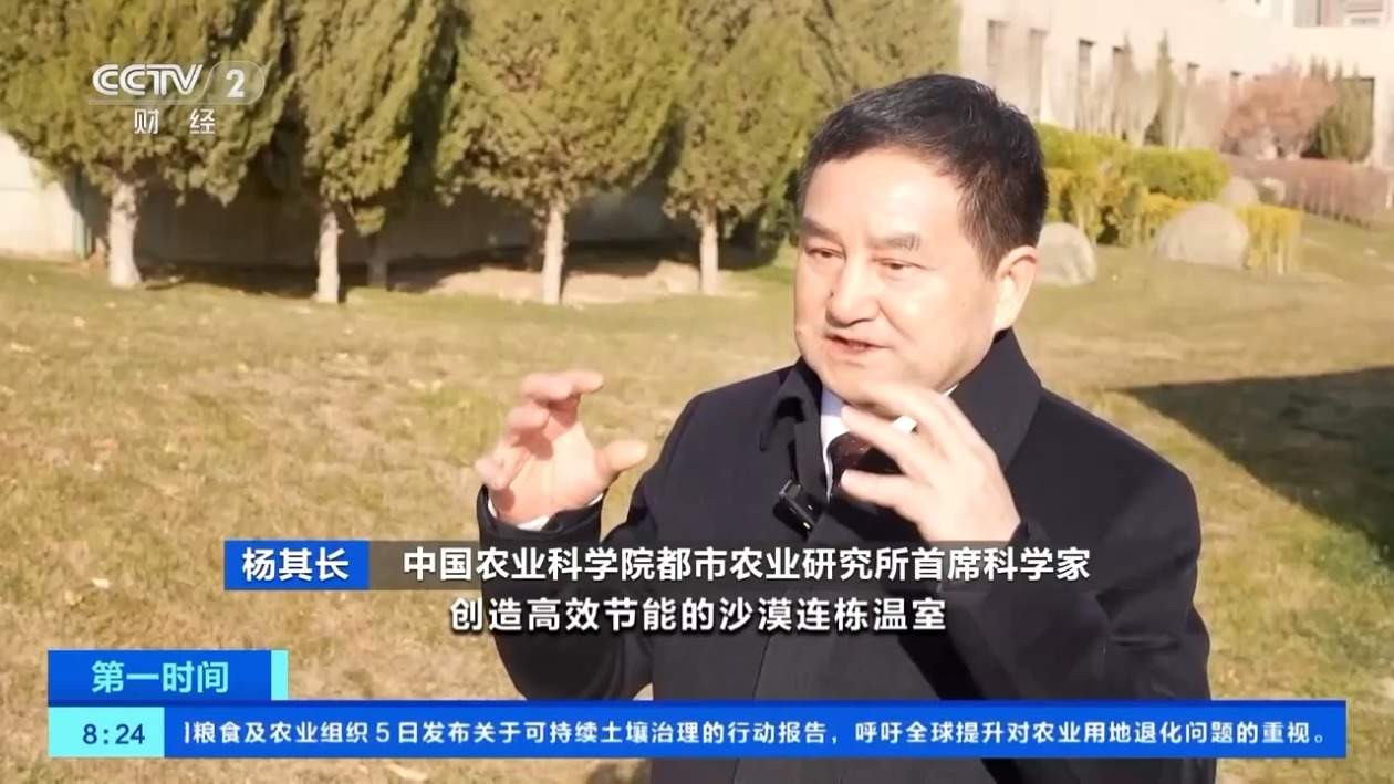 沙漠能建菜仓、粮仓？中国农科院：多项技术不断突破