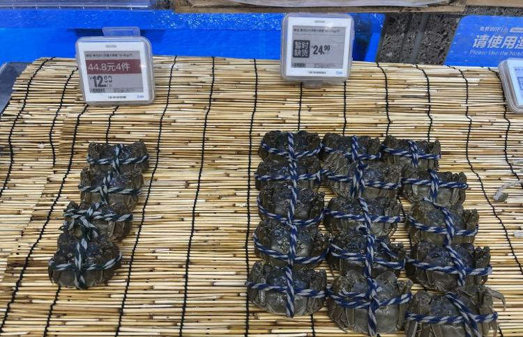 中秋探访济南市场：梭子蟹仍占“C位” 山东本地蟹9月大量上市