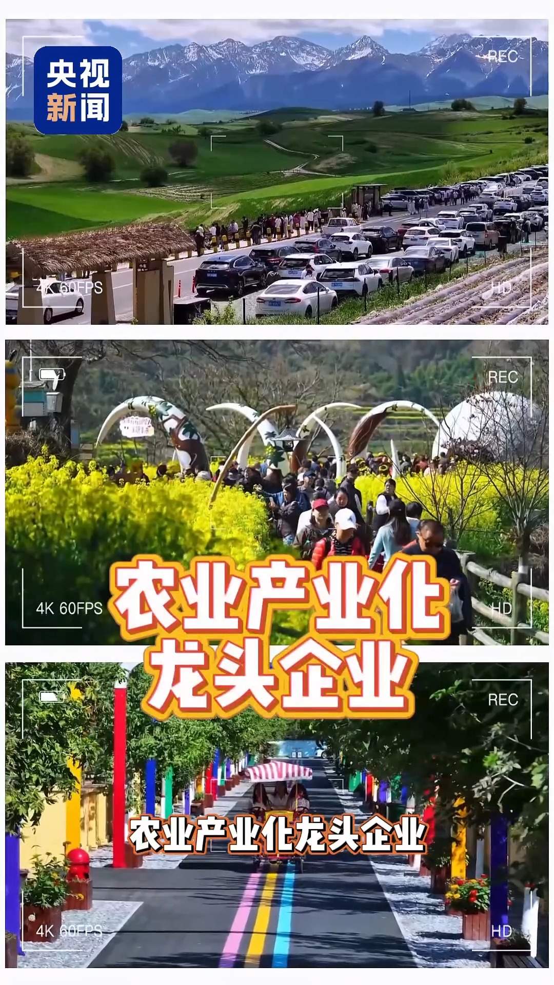 创业怎么选赛道？国家推出四种创业模式 精准帮扶
