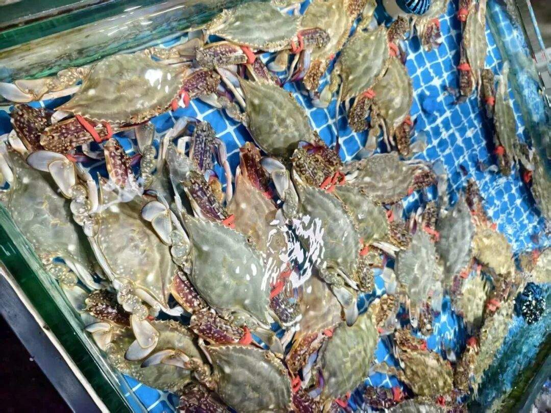 江浙海域迎来捕捞高峰，山东本地海鲜售价如何？梭子蟹应该怎么挑选？