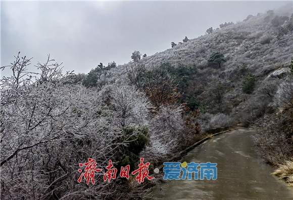 下雪了!济南“大雪花”刷屏
