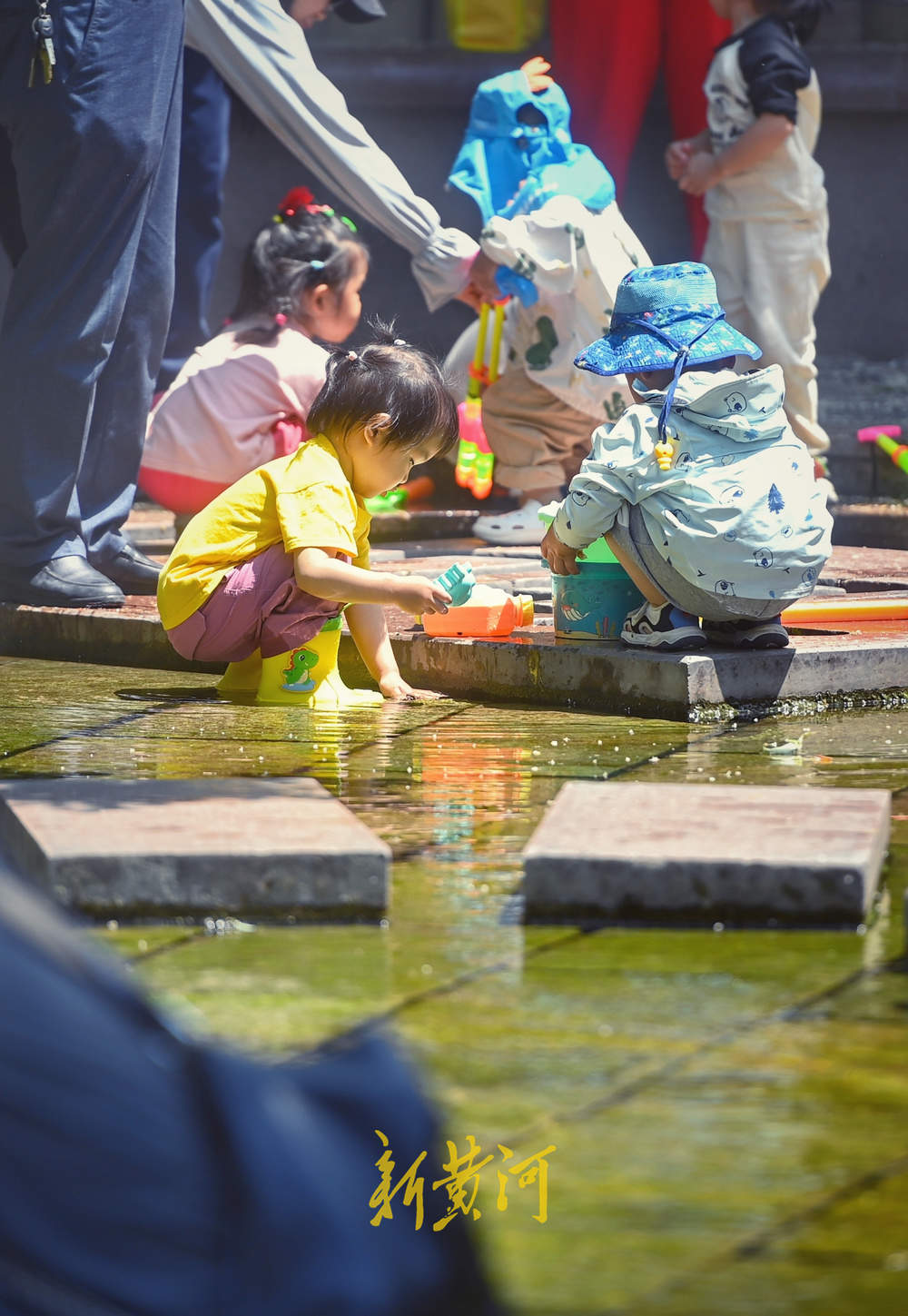 泉城入夏日，戏水正当时，五龙潭又热闹起来了