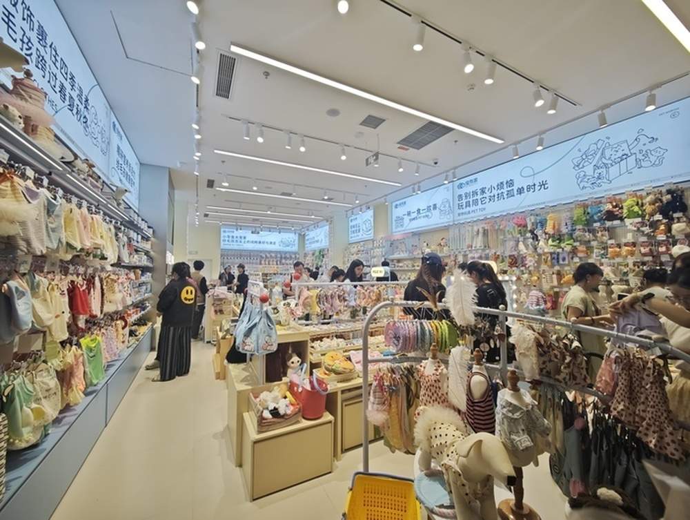 宠物集合店如同“母婴店”，网友：不能苦了“毛孩子”