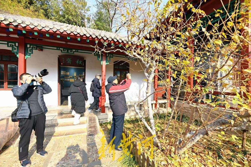 济南趵突泉沧园腊梅含苞待放 香气四溢引游客