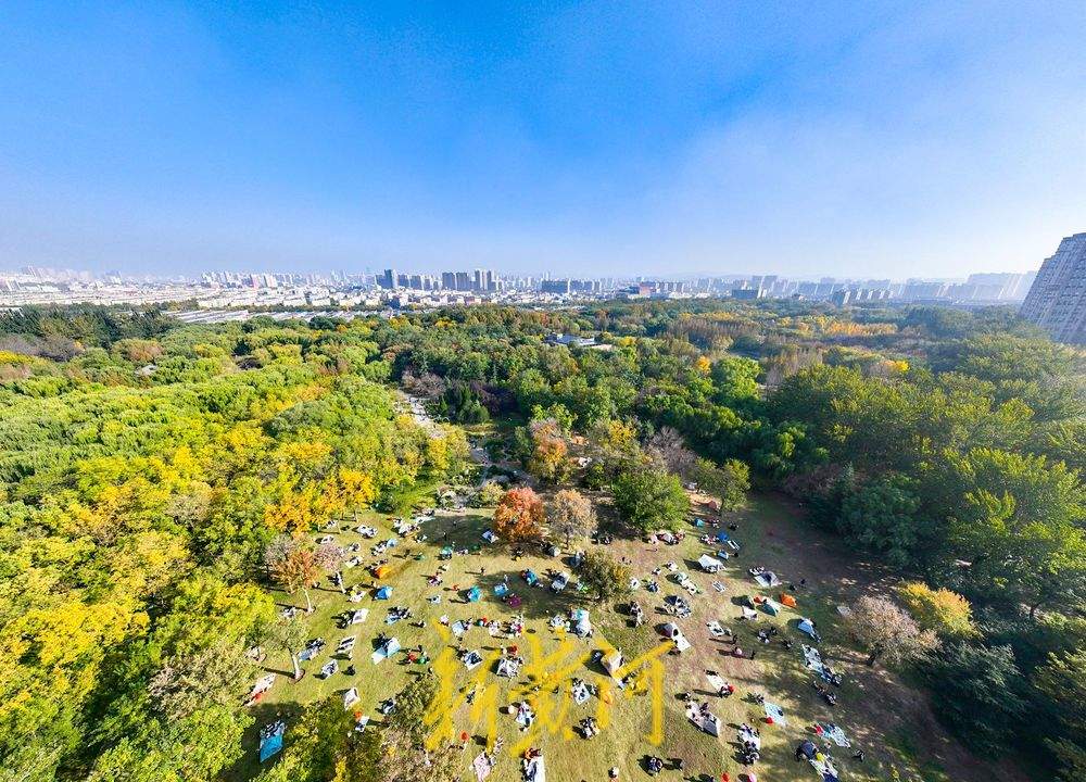 泉城深秋暖意浓，森林公园变身市民“诗意栖居地”