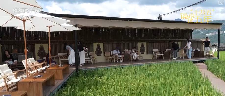 幸福日子芝麻开花节节高!“十四五”这五年百姓有话说