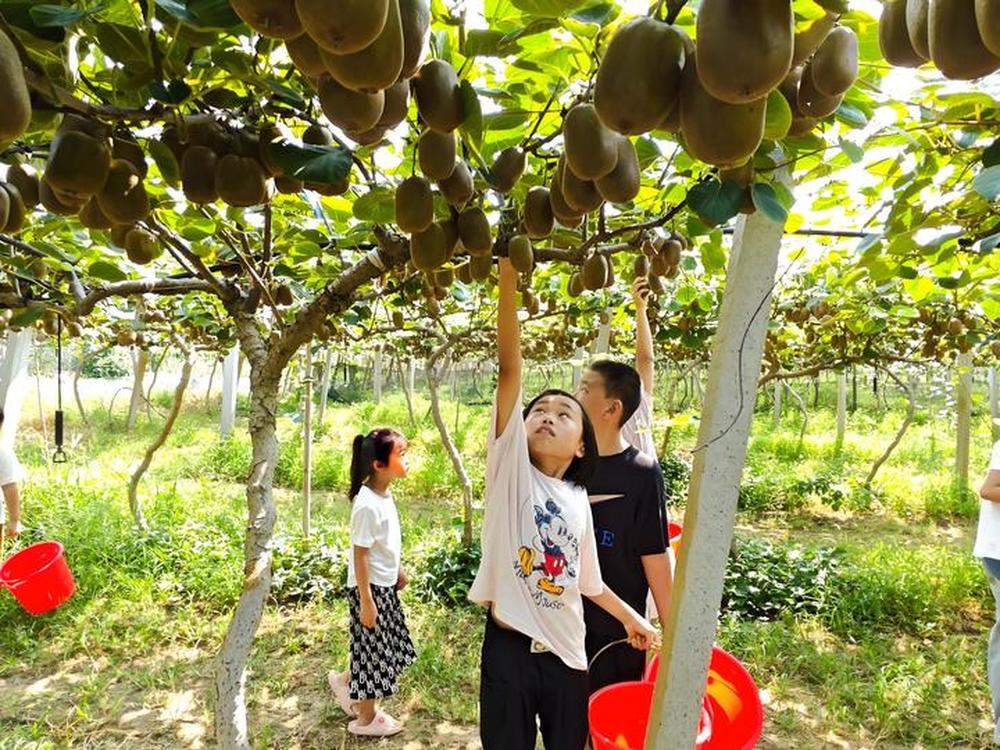 “双节”同庆 济南25项游园活动邀您来打卡