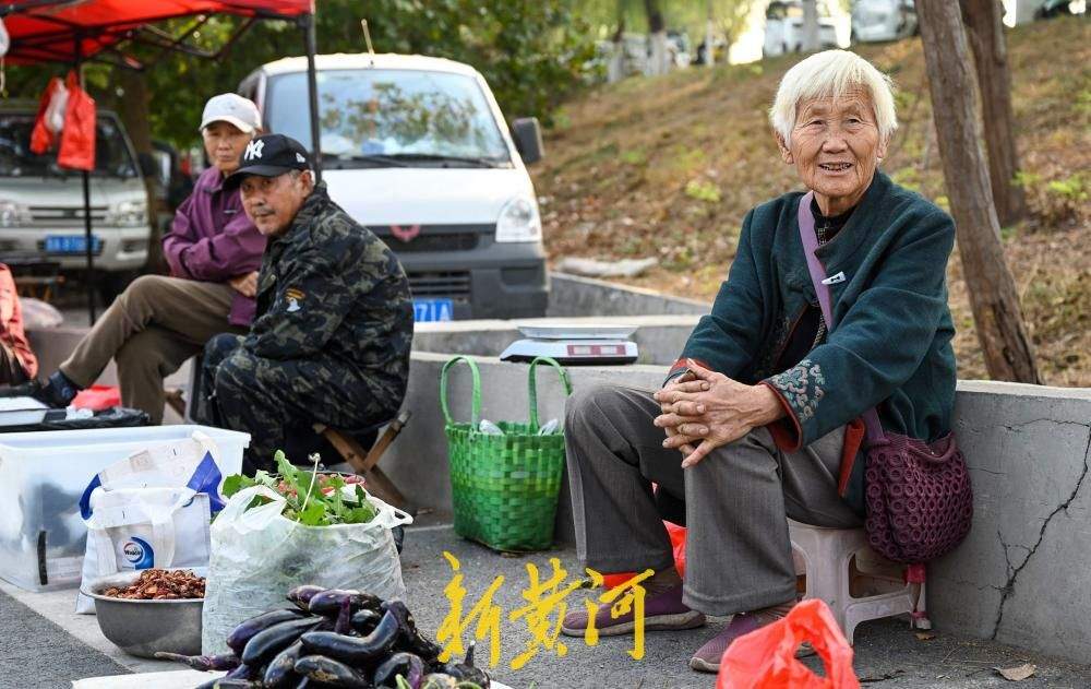 黄河北岸赶大集，济南鹊山大集盛满秋日丰收味
