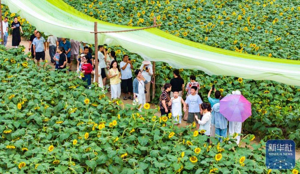 暑期出游正当时