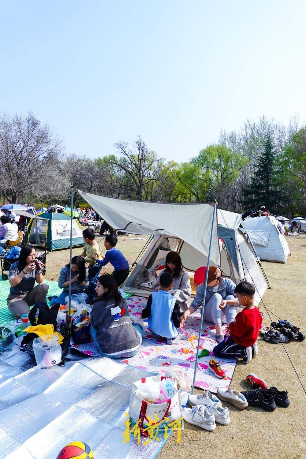 暖阳高照春意满，济南森林公园变身“帐篷乐园”