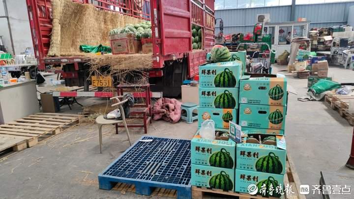 天气越热、销量越“热”，济南西瓜价格开始回升上涨