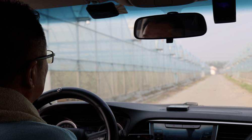 科技报国的时代答卷｜守护民生之“芯”：黄瓜“芯”的创新征途