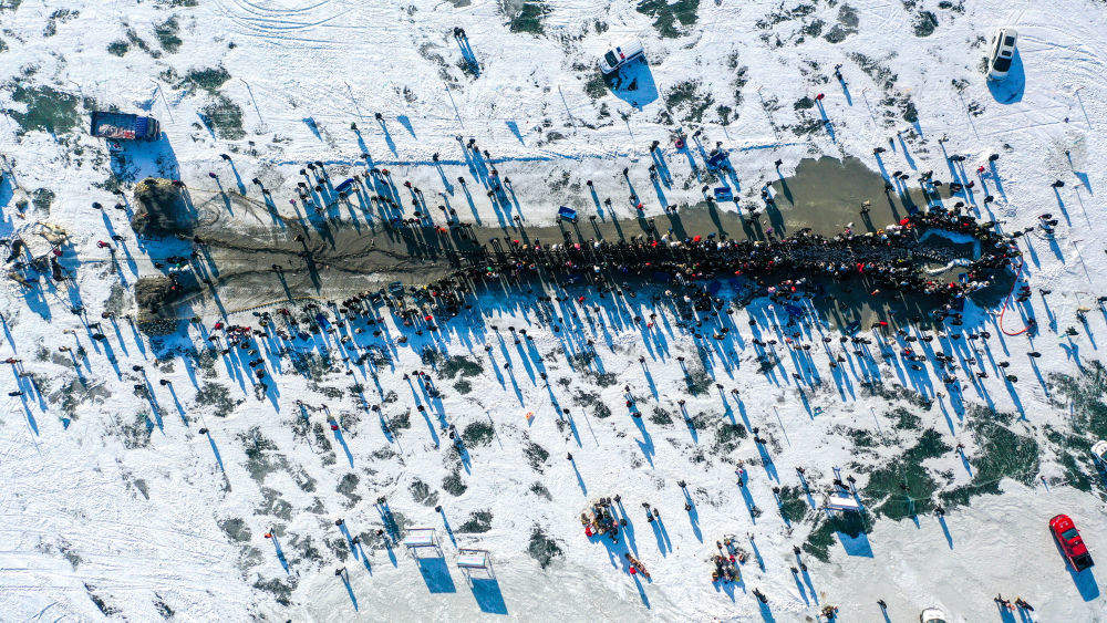 镜观·回响｜生态美，旅游兴——查干湖的绿色交响