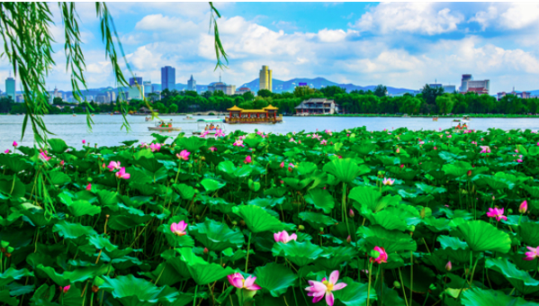 趵眼|高考志愿季,为何建议你把济南填在“第一志愿”?