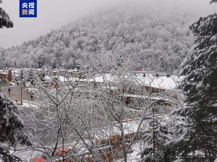 秒变童话世界！霜降节气中国雪乡迎来今秋首场降雪