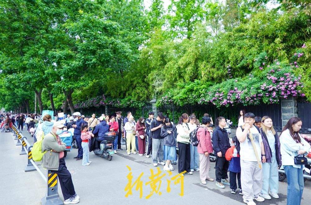 30秒一镜到底，看趵突泉游园有多火