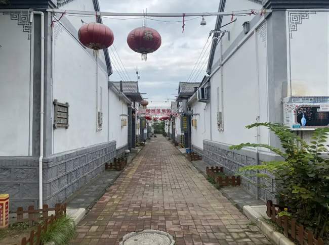 “两山”染绿黄河岸
