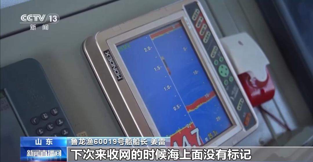 开渔期赶海忙!山东各大鲜活海产“游”进市场