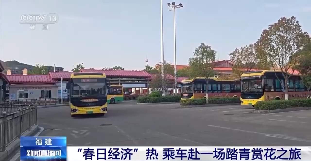 各地春日赏花有哪些好去处？请看这份赏花攻略