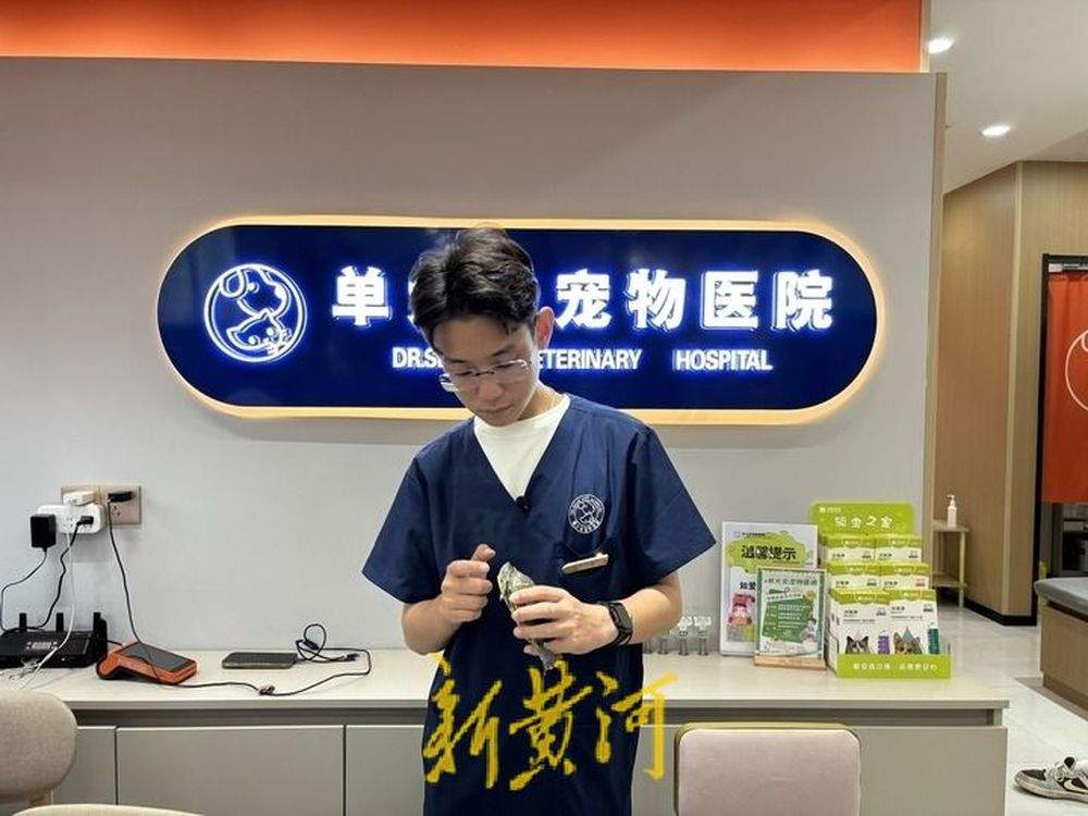 异宠医生的一天是啥样？山东这家宠物医院里，他为巴西龟打针，给水豚治胃肠炎