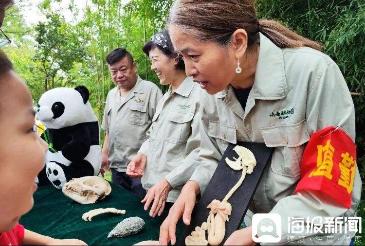 “零距离”邂逅国宝!济南动物园大熊猫教具展示驿站上线啦