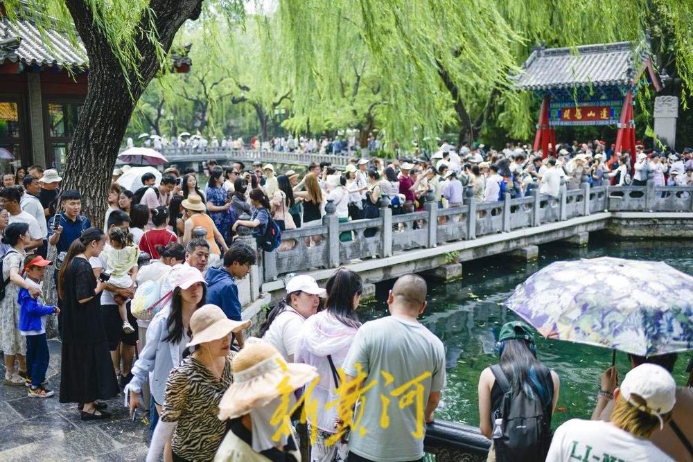 一年四季 泉在济南｜炎炎夏日，来济南赴一场“泉水游”吧