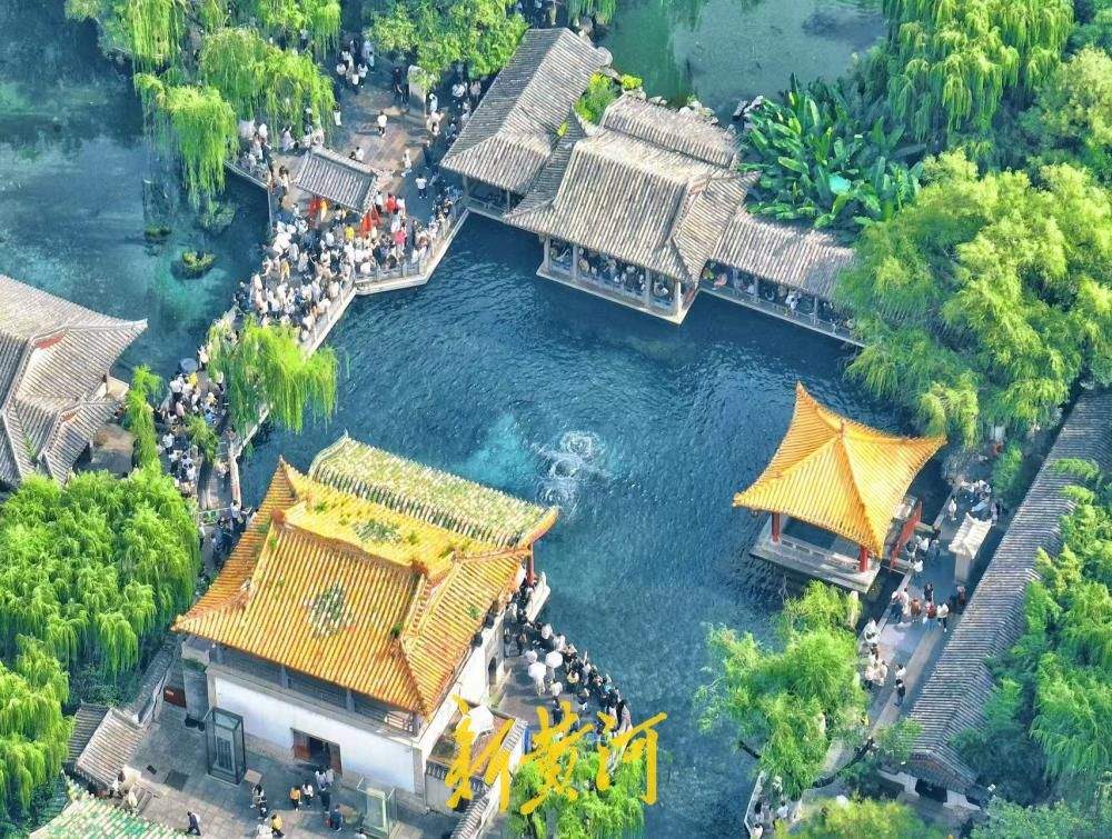 暑期收官遇盛景，趵突腾空醉游人